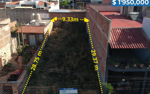 Lote Ávila Camacho