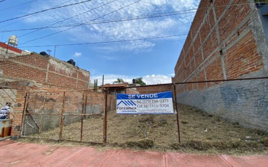 Lote Ávila Camacho